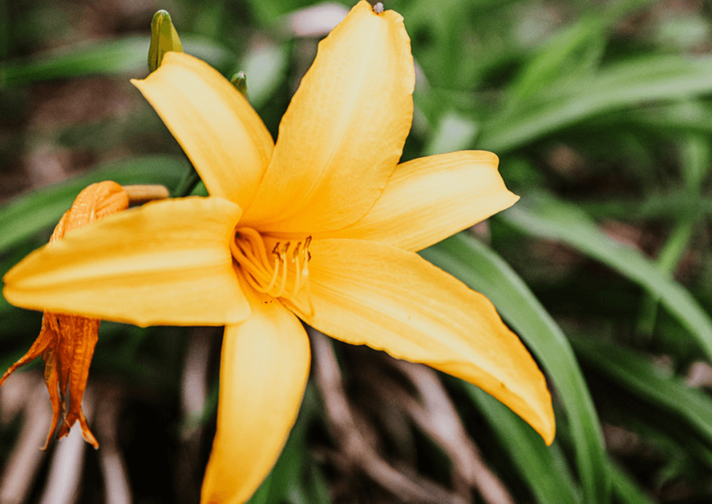 Lo invisible del café: decisiones que cambian todo